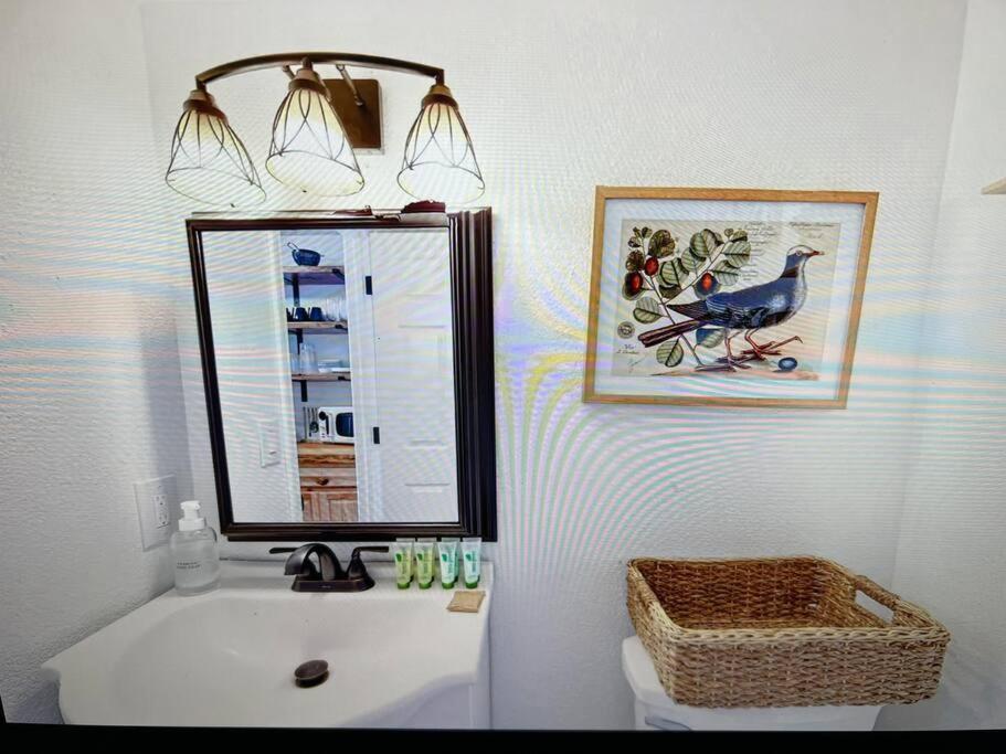 New Modern Boho Apt- Close To Yosemite 오크허스트 외부 사진
